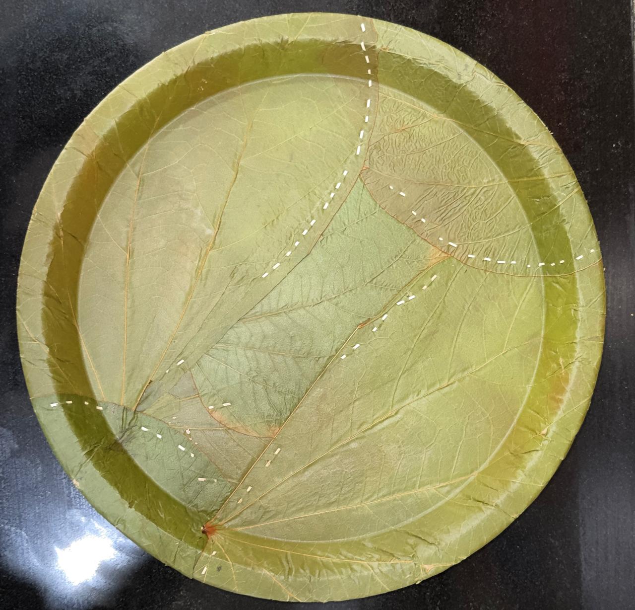 Leaf Plates